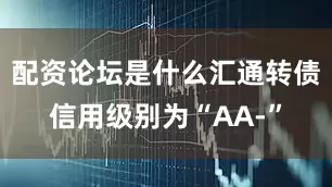 配资论坛是什么汇通转债信用级别为“AA-”